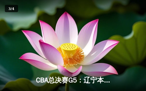 CBA总决赛G5：辽宁本钢逆转浙江广厦夺队史第三冠，赵继伟荣膺FMVP - 3